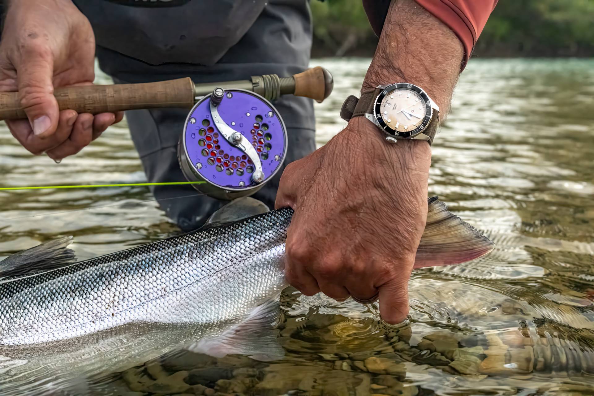 catching a.fish on automatic fly reel JMC Performer Rods Catch Fish Automatically!, Tired of