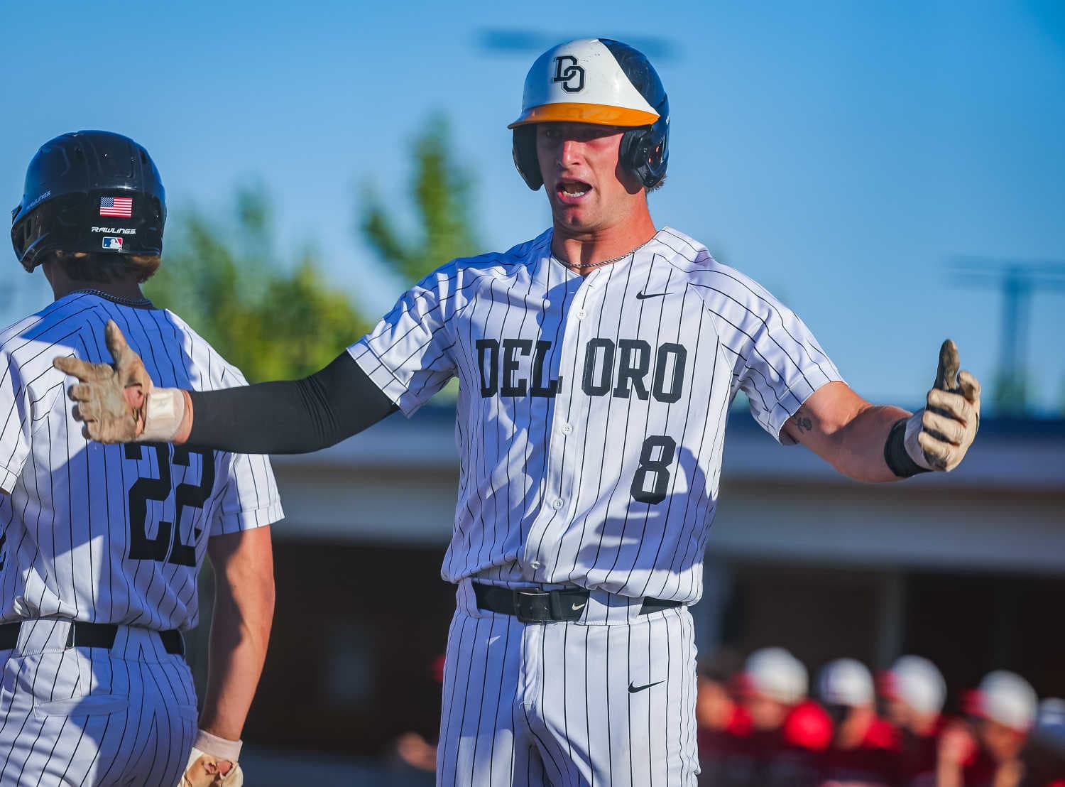 High school baseball, California
