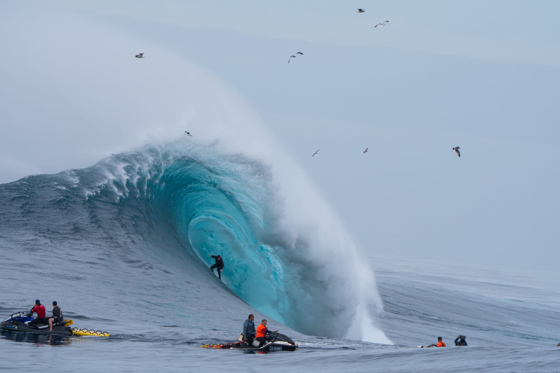 surfing, 100 Foot Wave, AdventureOnSI