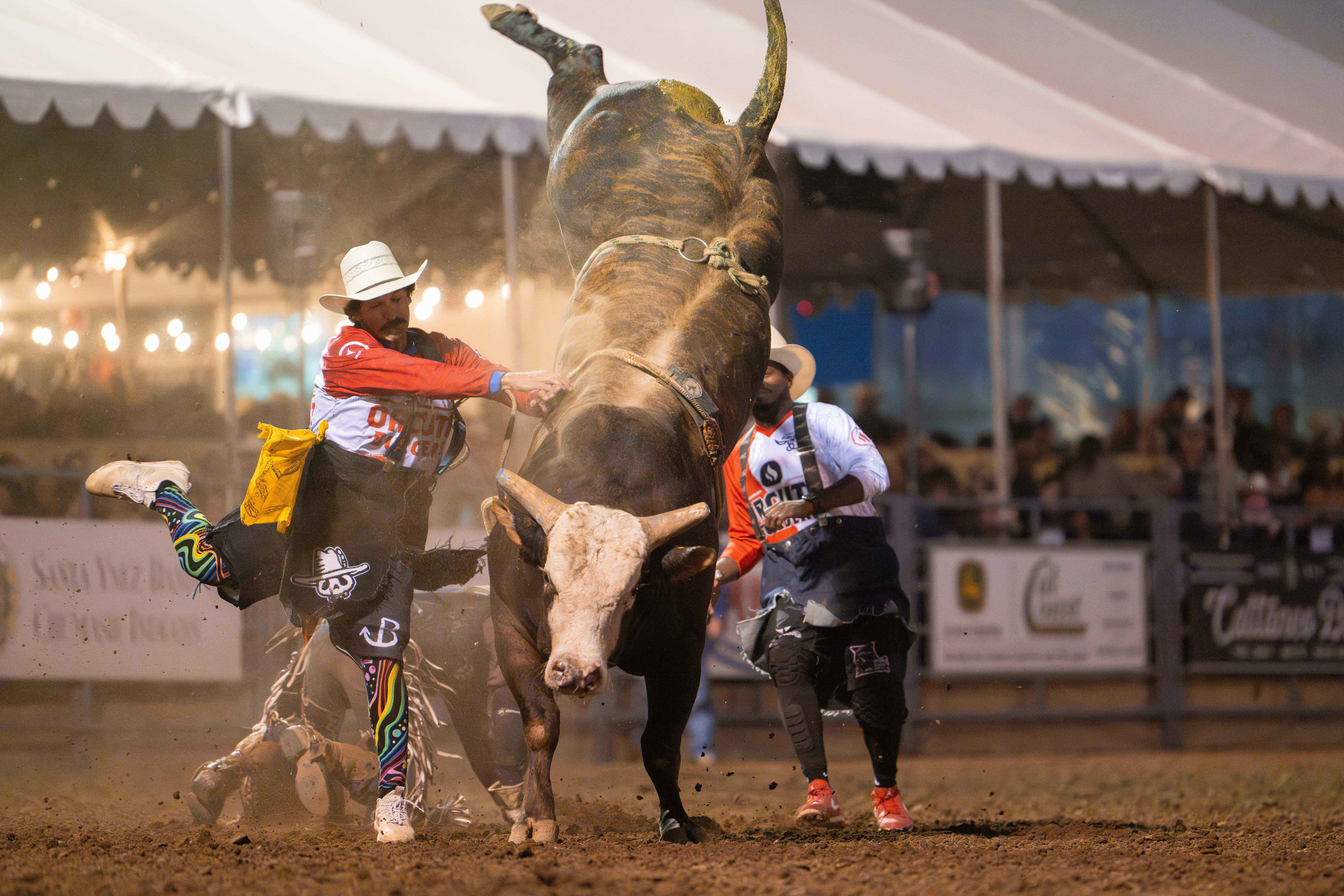 Bull riding action