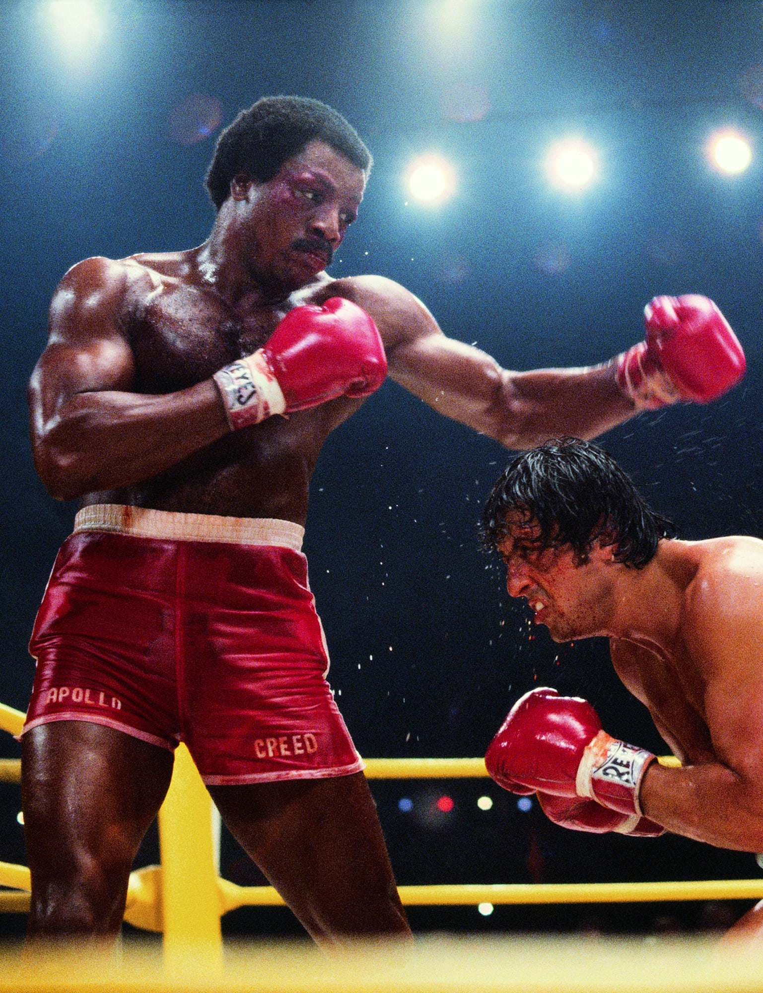 Celebrity: Carl Weathers (L), as Apollo Creed, in action vs. Sylvester Stallone (L), as Rocky Balboa. 