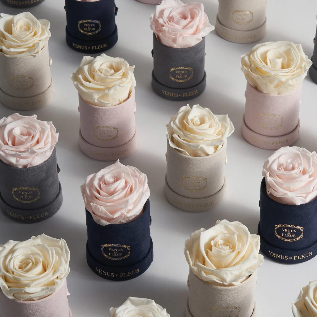 Venus et Fleur Le Mini Round