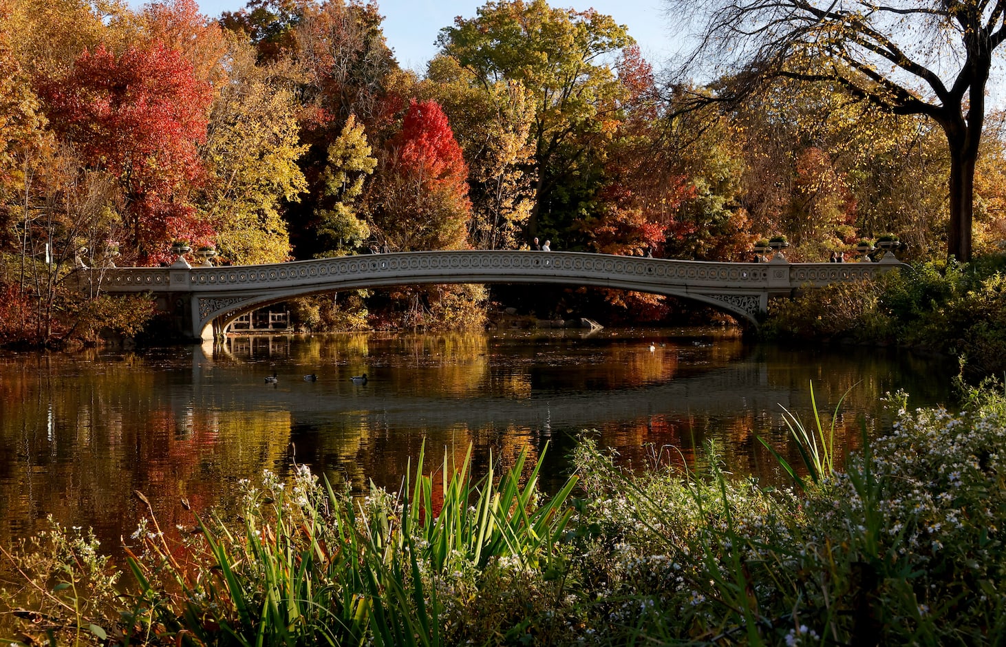 Central Park in autumn