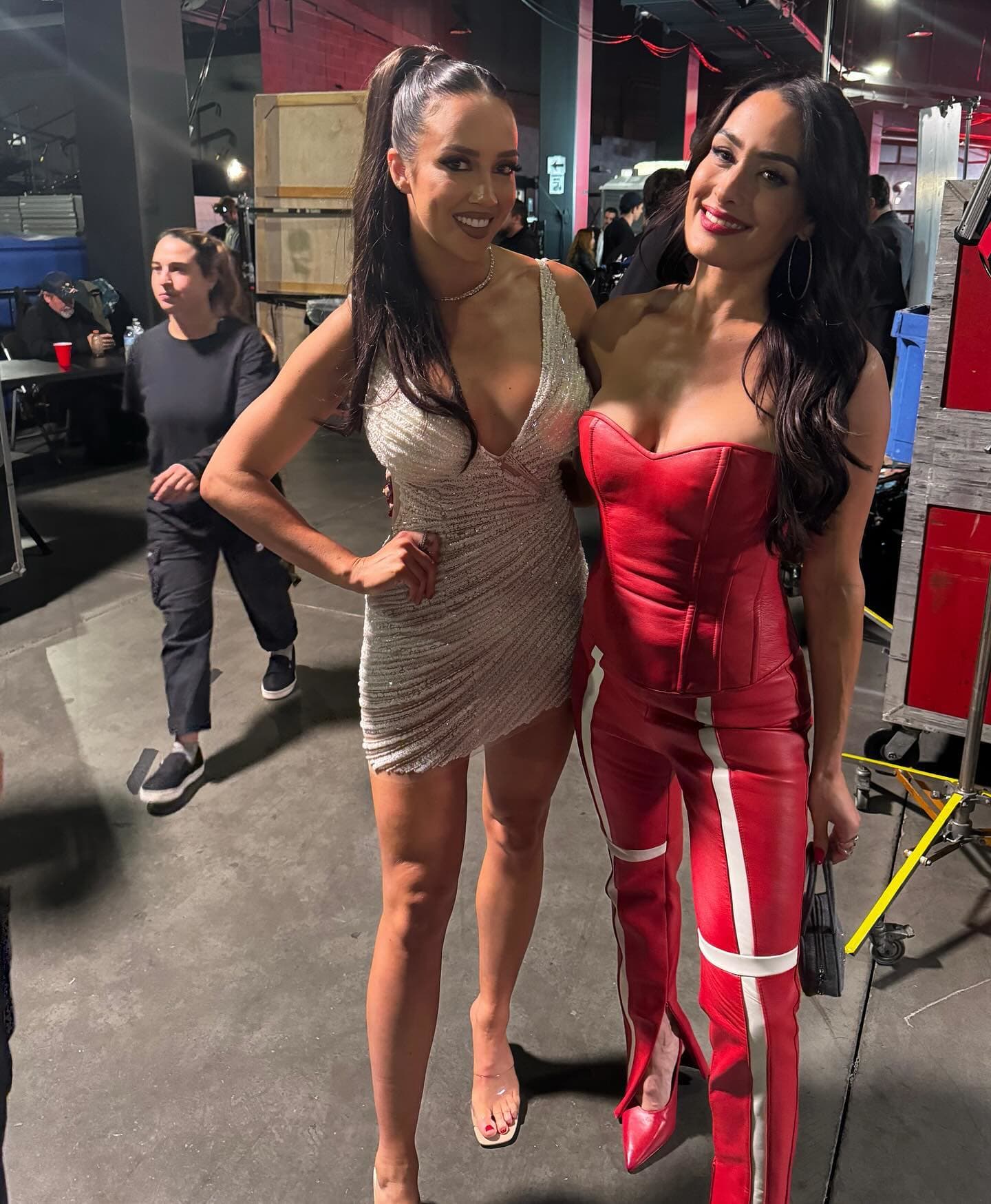 nikki bella red nike shoes