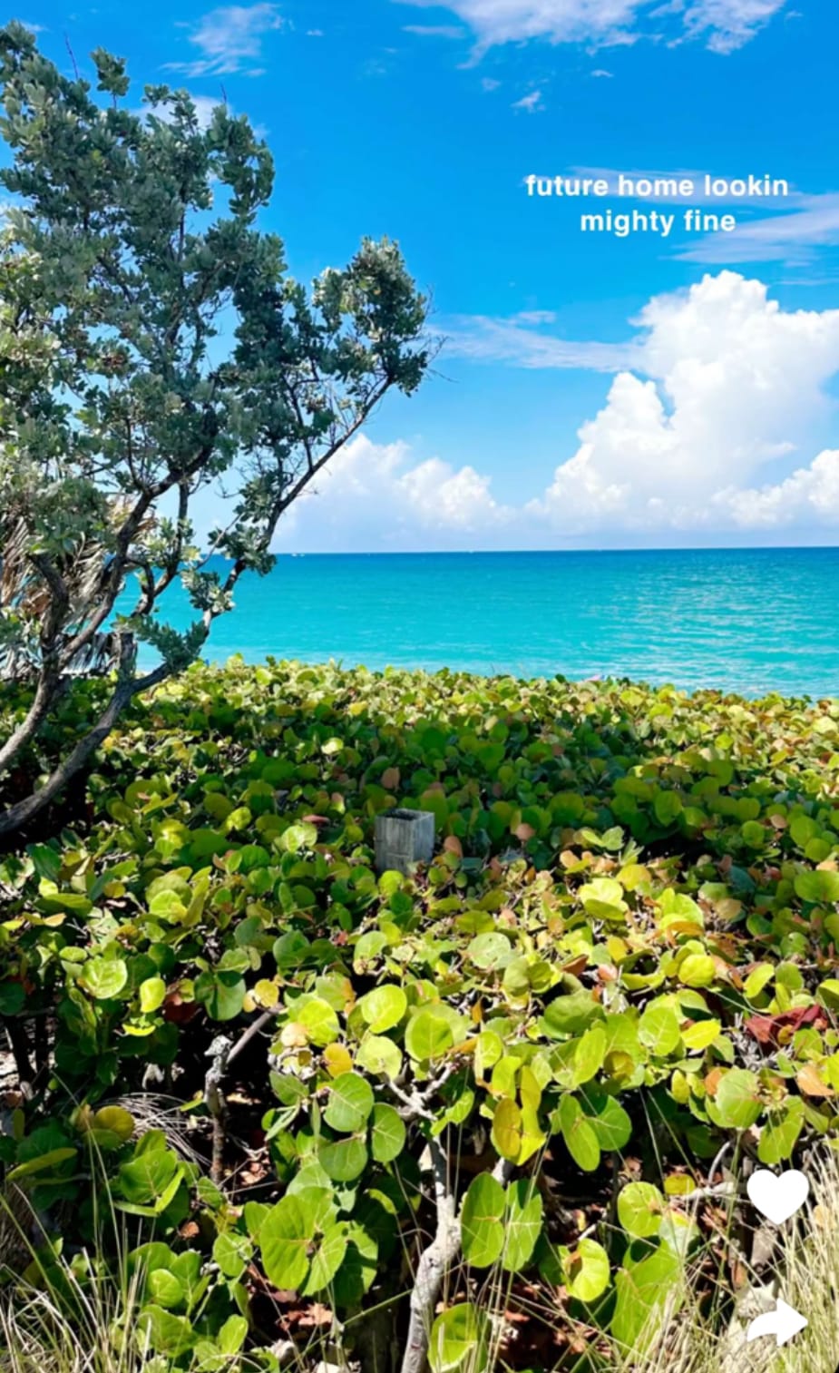 Livvy Dunne shows off stunning view of ‘future home’ while rocking bikini