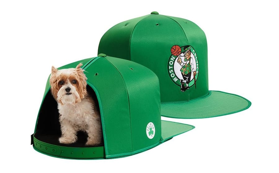 Best Sports Gifts for Dogs