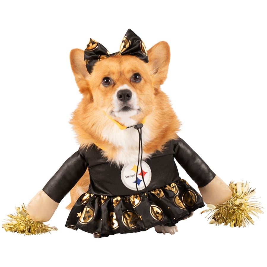 Best Sports Gifts for Dogs - Pittsburgh Steelers Cheer Dog Costume