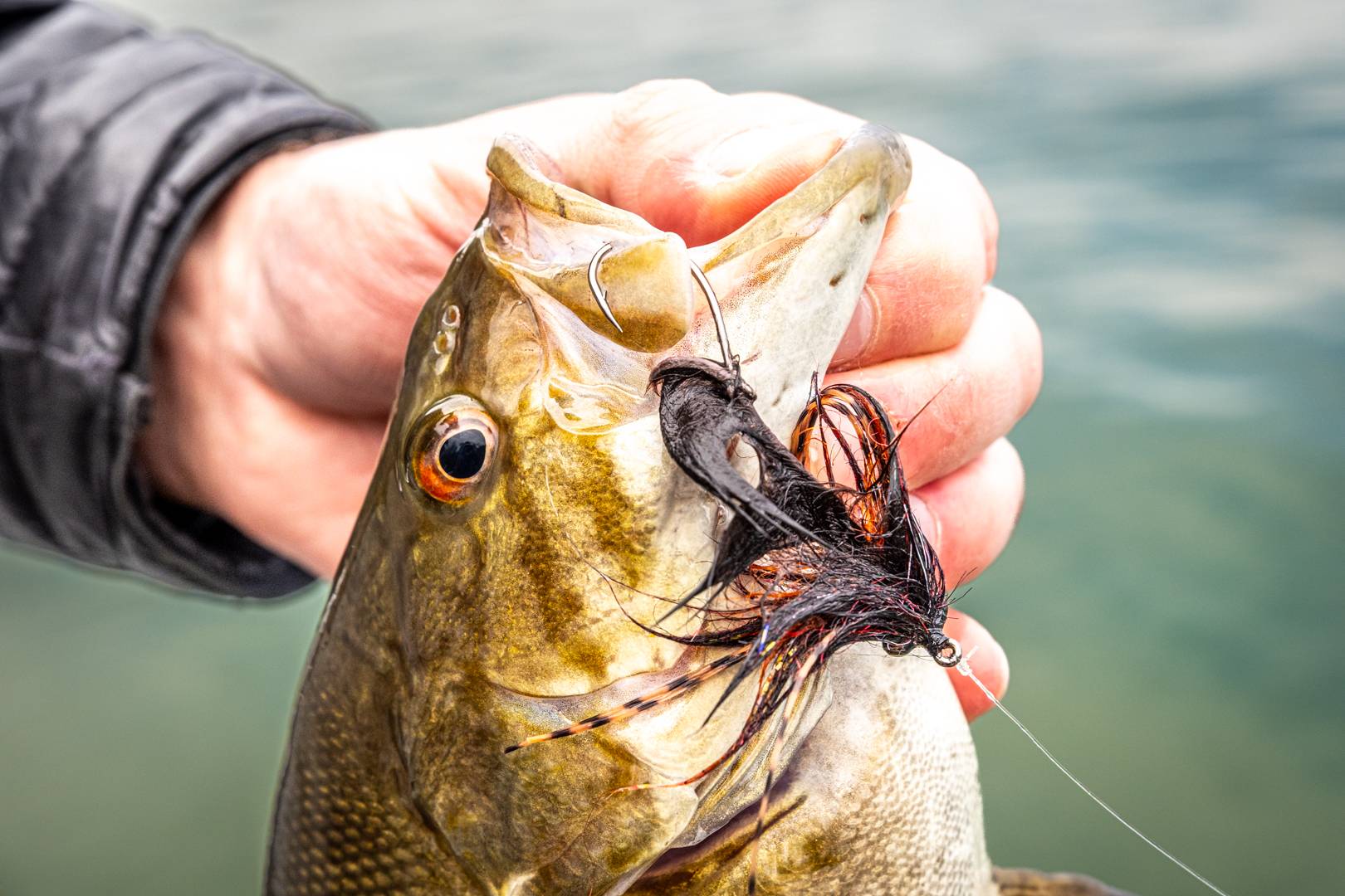 best all around rod and reel combo for bass fishing Reaction Tackle Spinning – Predator Pro coral Beast™ Spinning Reel Size:300M PE2 / 41LB Our Bass Pro Shops