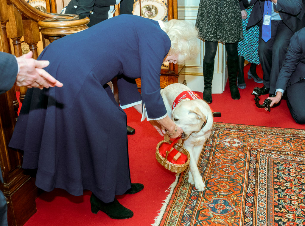 Сообщается, что король Чарльз и королева Камилла решили не делать прибавление в семье.