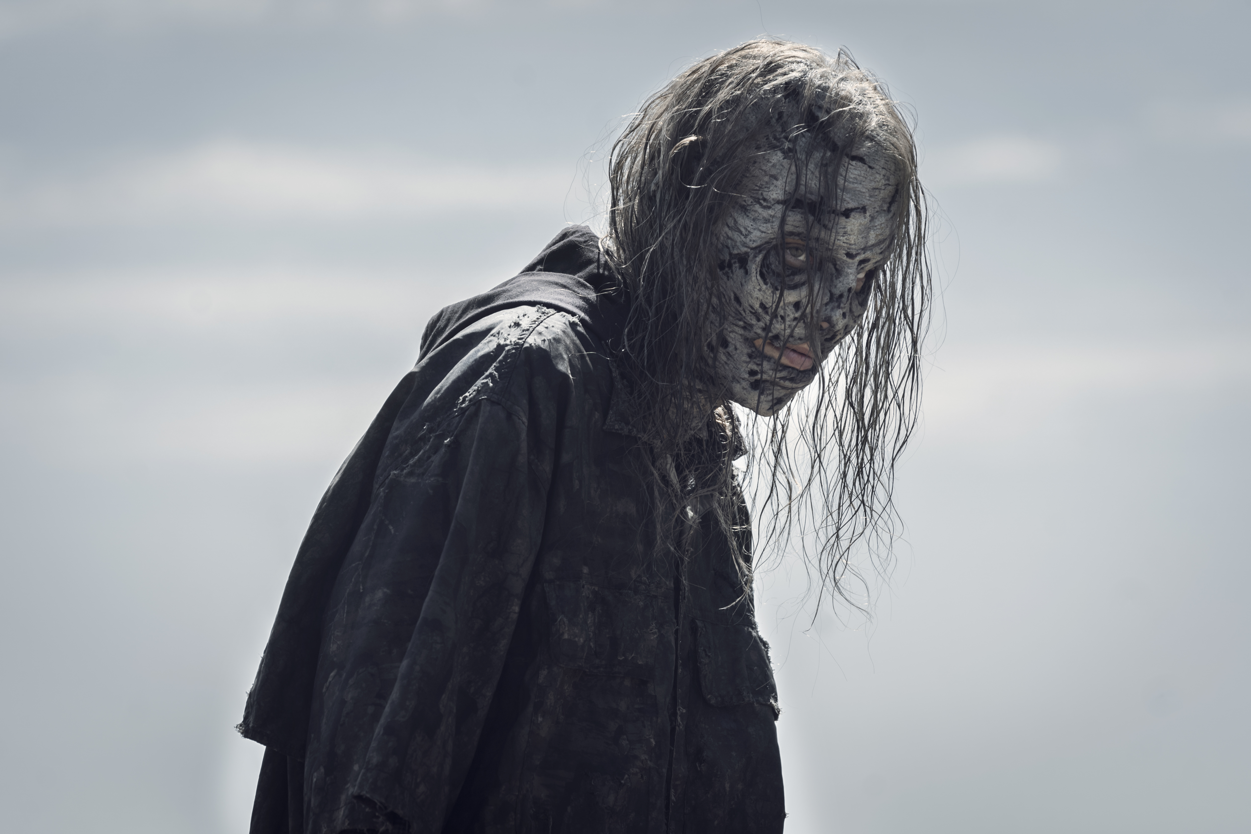 What Walking Dead spinoff shows are coming to Netflix in August?