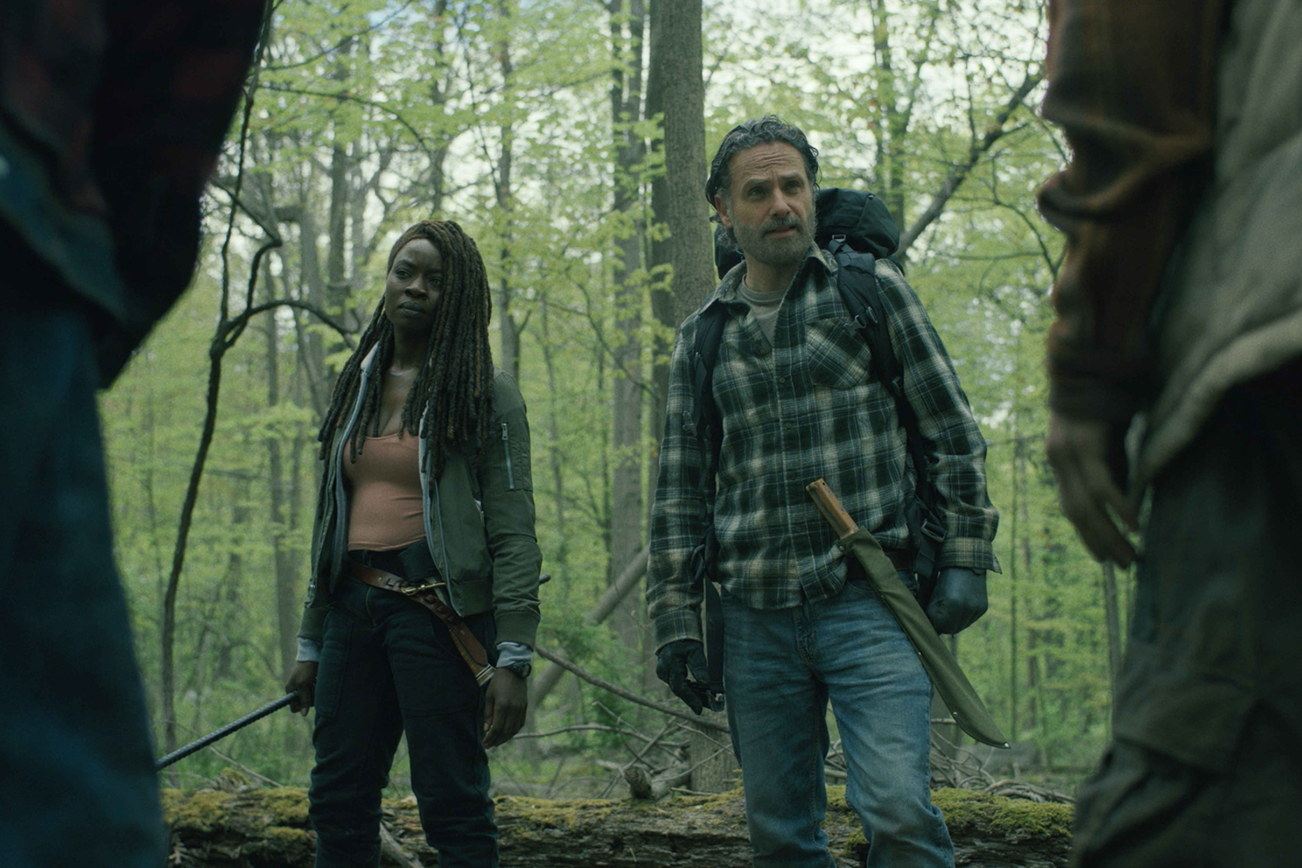 What Walking Dead spinoff shows are coming to Netflix in August?