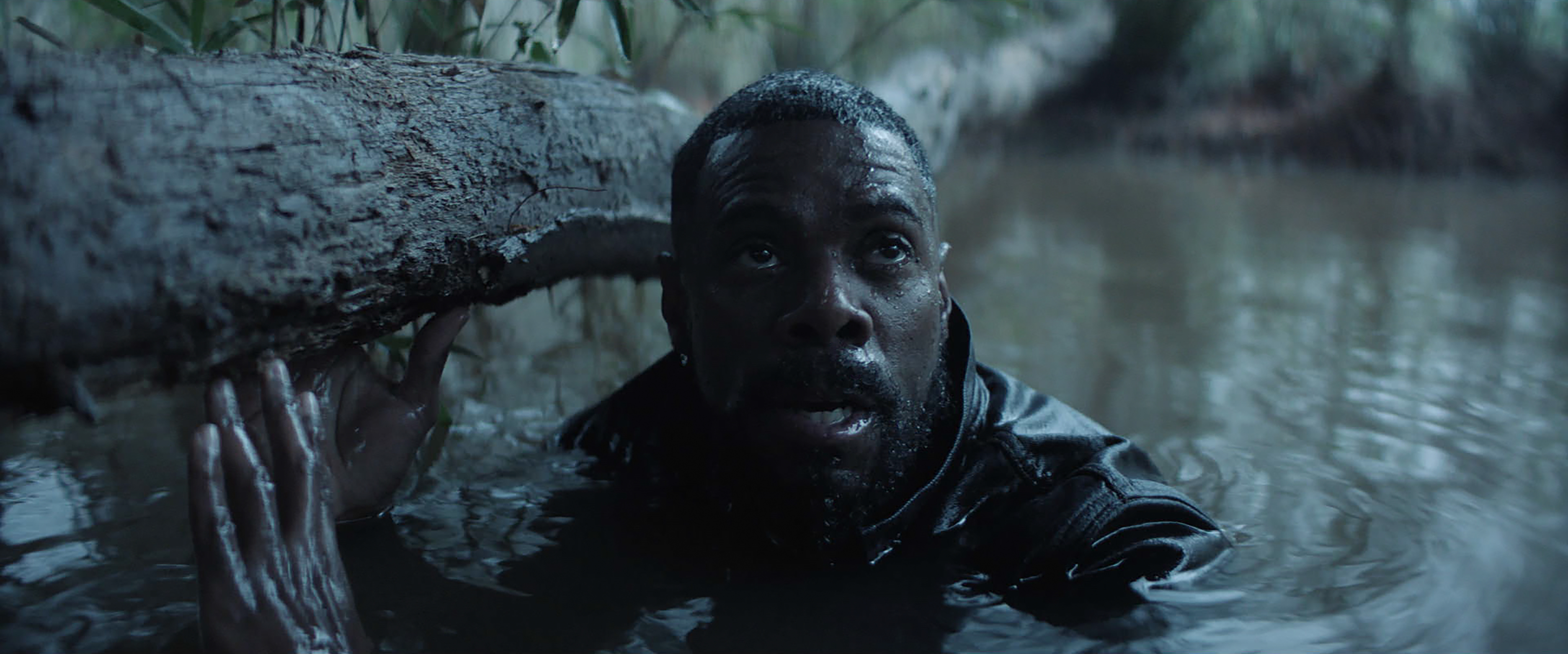 Where to stream The Madness starring Fear the Walking Dead's Colman Domingo