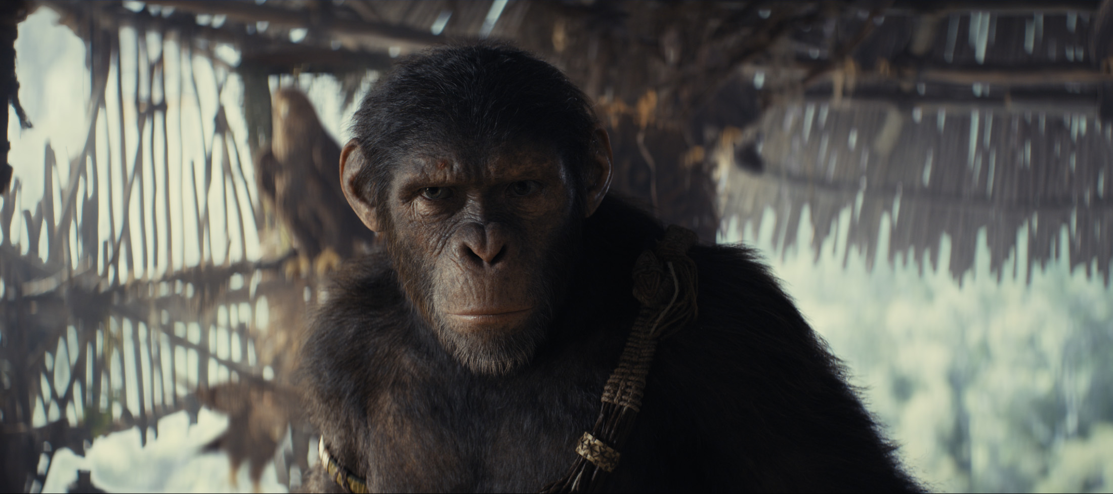 «Царство планеты обезьян» — это приключенческая эволюция самой устойчивой научно-фантастической кинофраншизы.