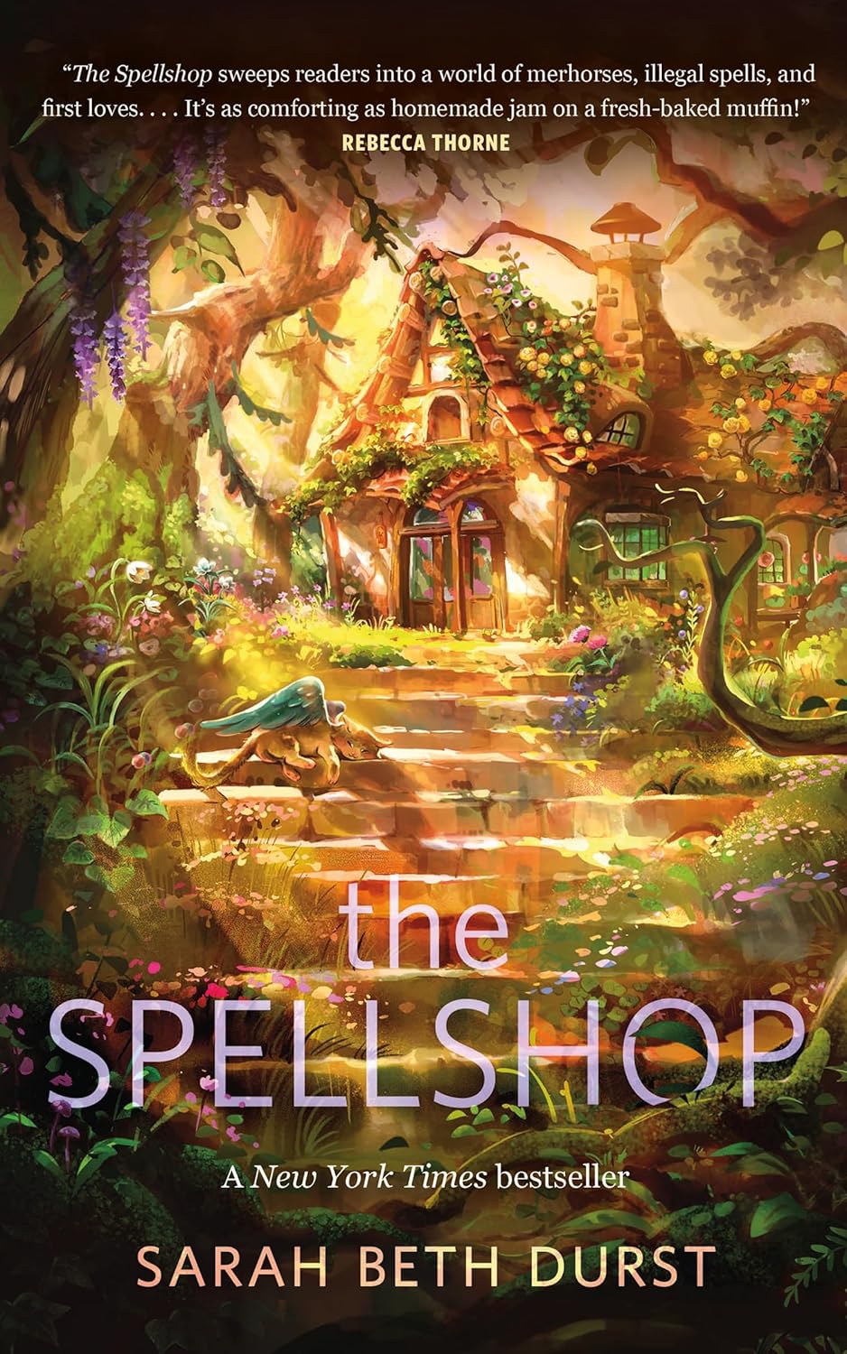 The Spellshop (Spellshop #1) by Sarah Beth Durst