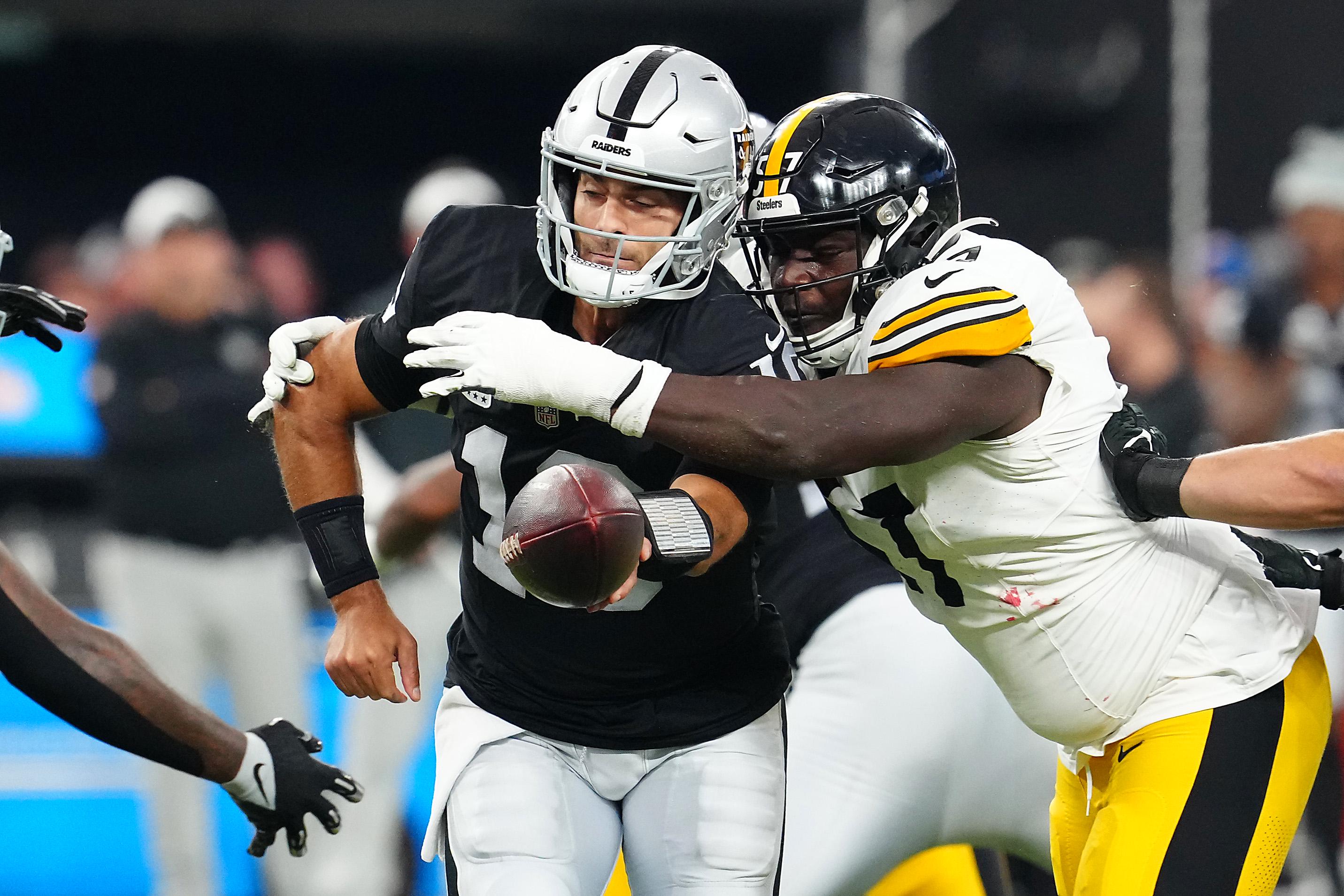 Steelers Place Veteran DT on IR