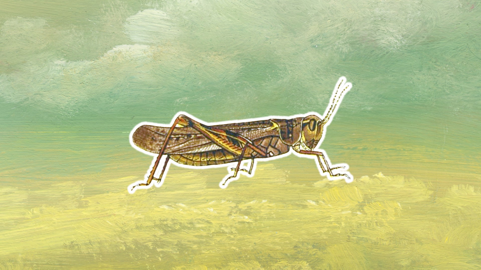 How the Rocky Mountain Locust Ate the American West