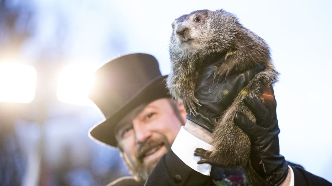 Why Punxsutawney's Groundhog Is Named Phil | Mental Floss