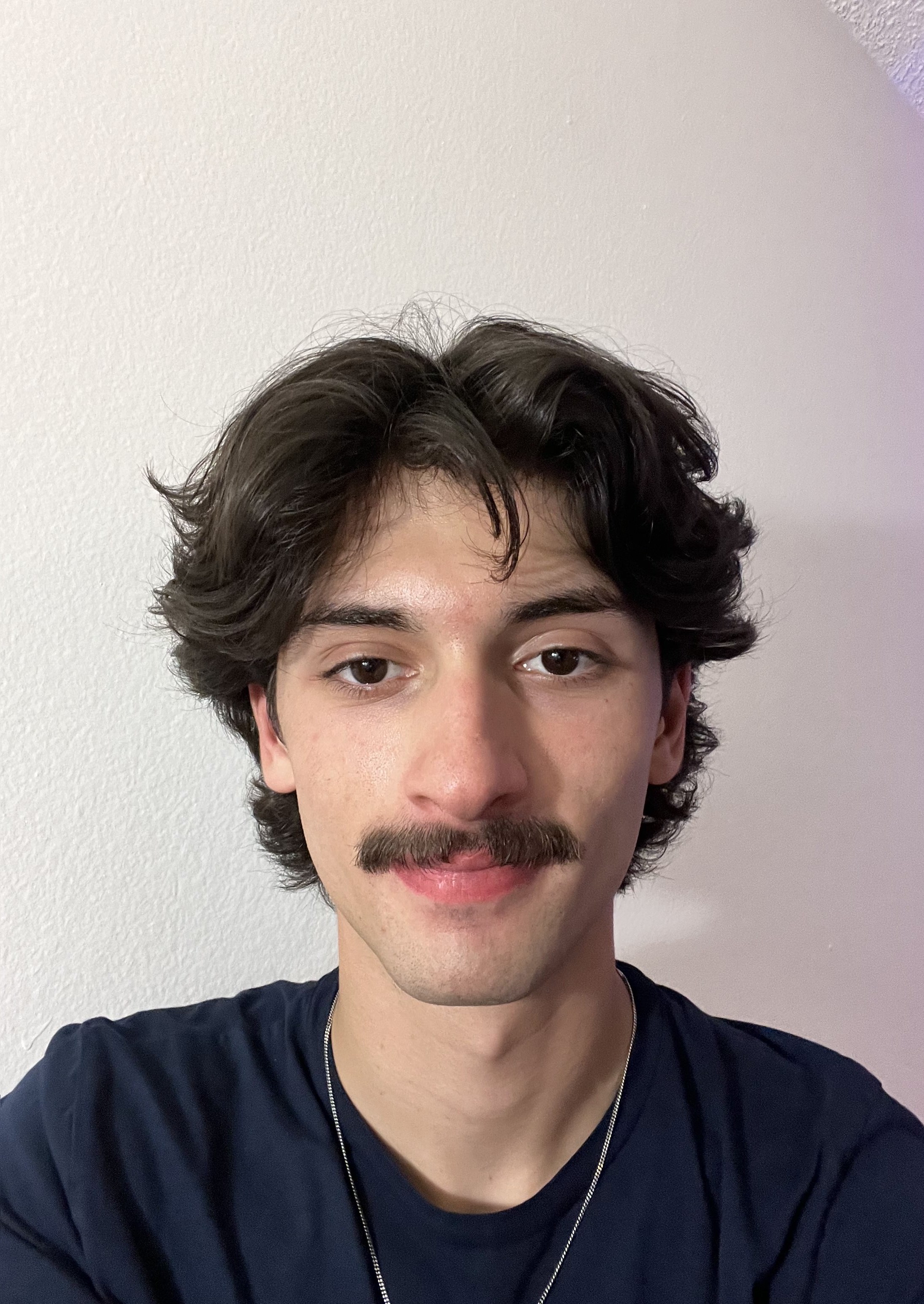 Alessandro Procaccino