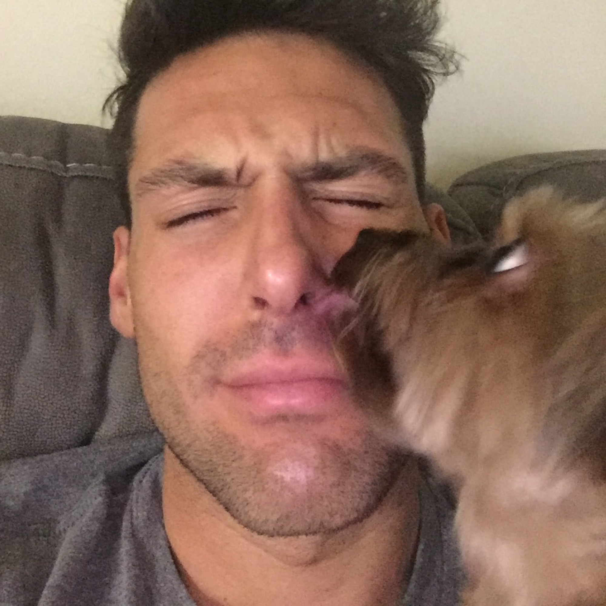 Adam Orecchio