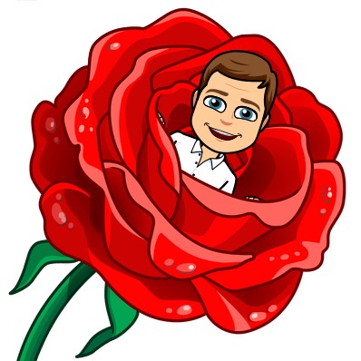 Bachelor Bob