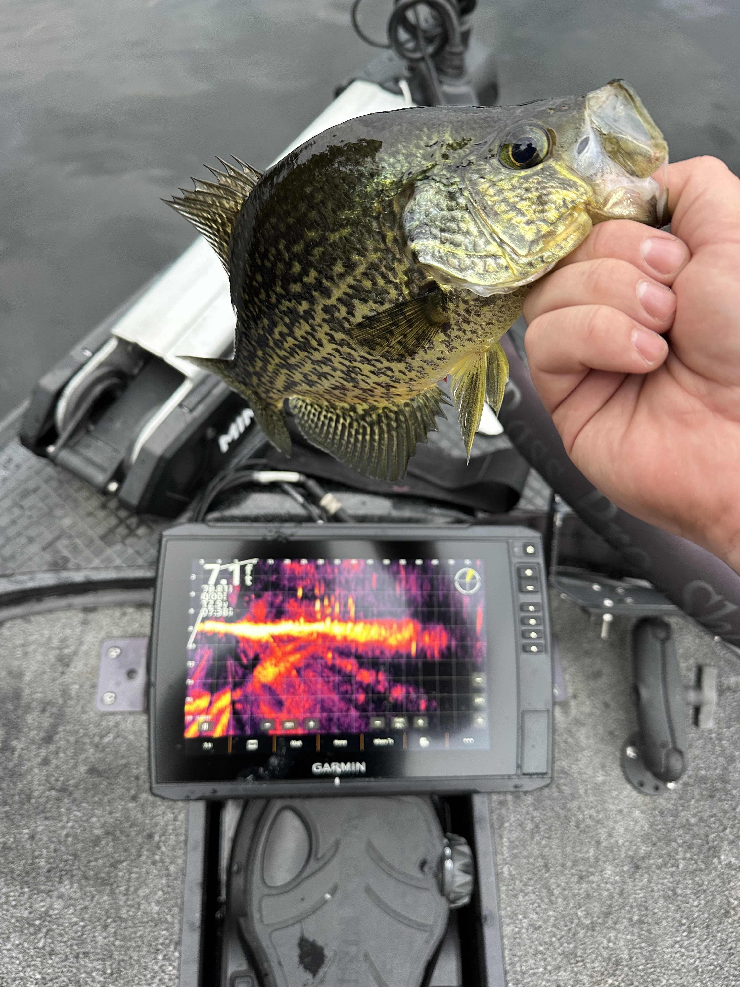 circle pieces on fishing pole How to set up a fishing rod?  WalleyeX