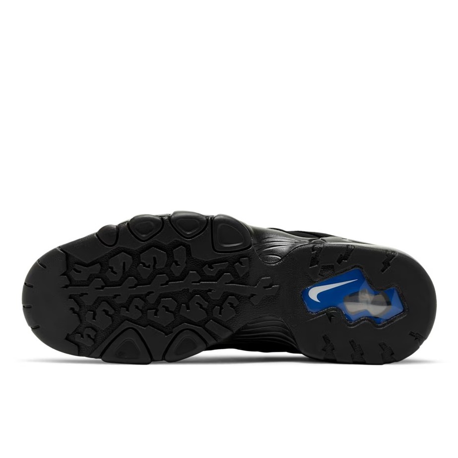 blue and black barkleys