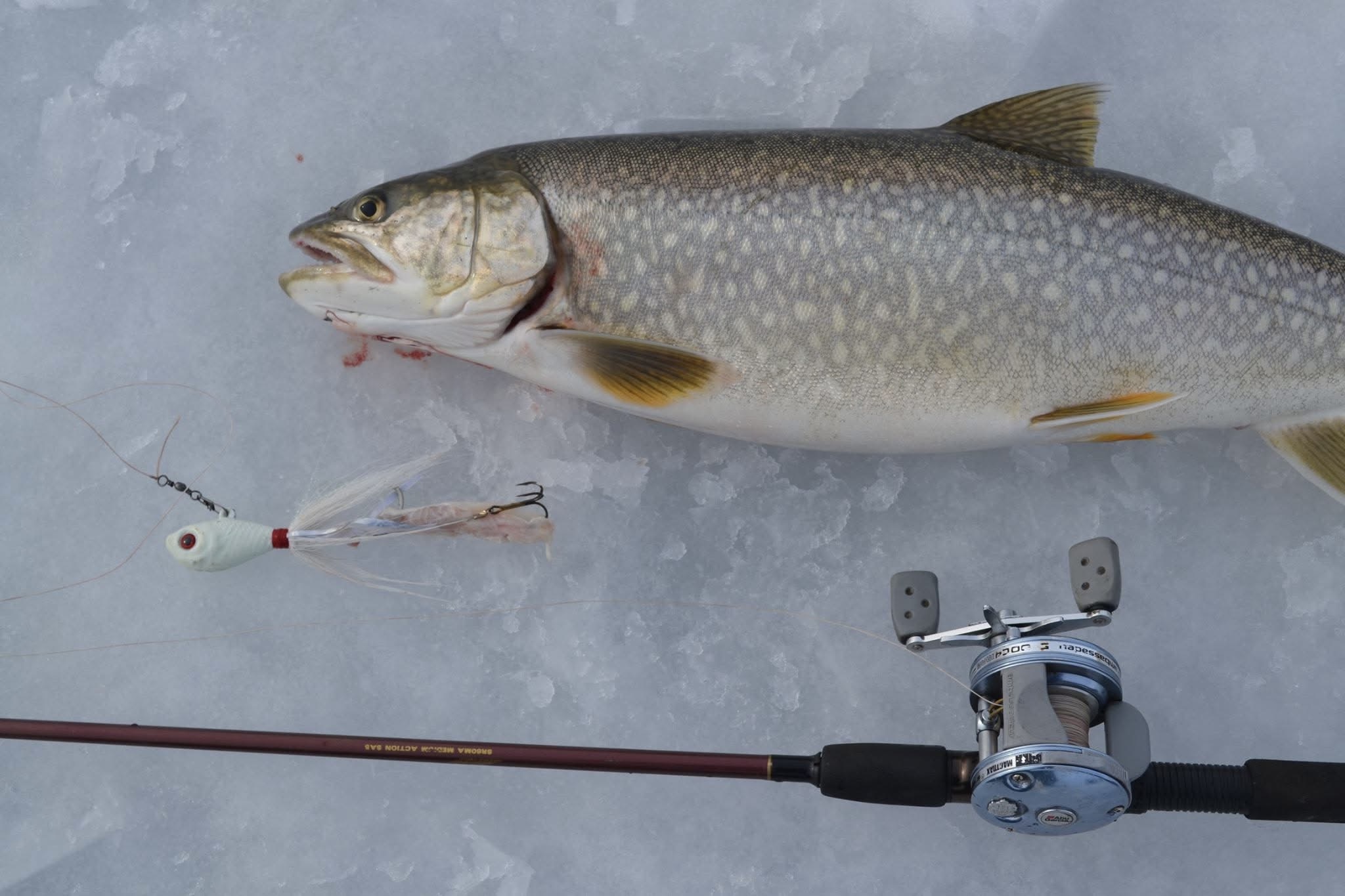 best reel for ice fishing lake trout FREE FISHER Reels 3.2:1 Gear Ratio Ultra Smooth 3+1Ball Bearings Strength CNC-machined Aluminum Inline Ice Fishing Black Left Hand Retrieve : Sports & Outdoors Why I Fish Lake Superior