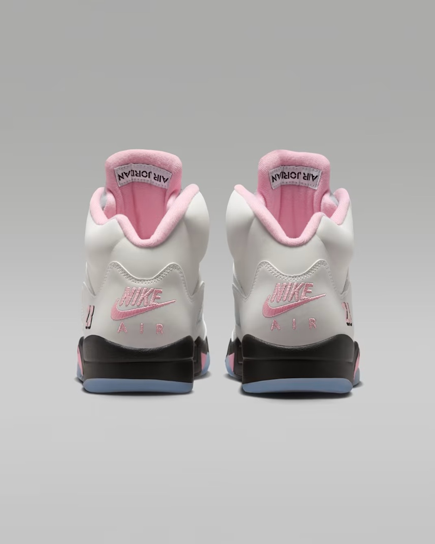 The Air Jordan 5 