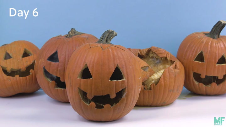 Halloween Hacks for the Best Costumes, Decorations, and More