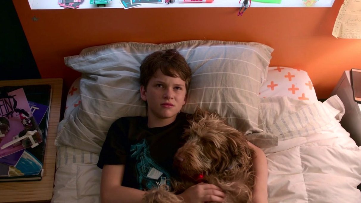 The Dog Scene From I Am Legend Is The Saddest Movie Scene I Ve