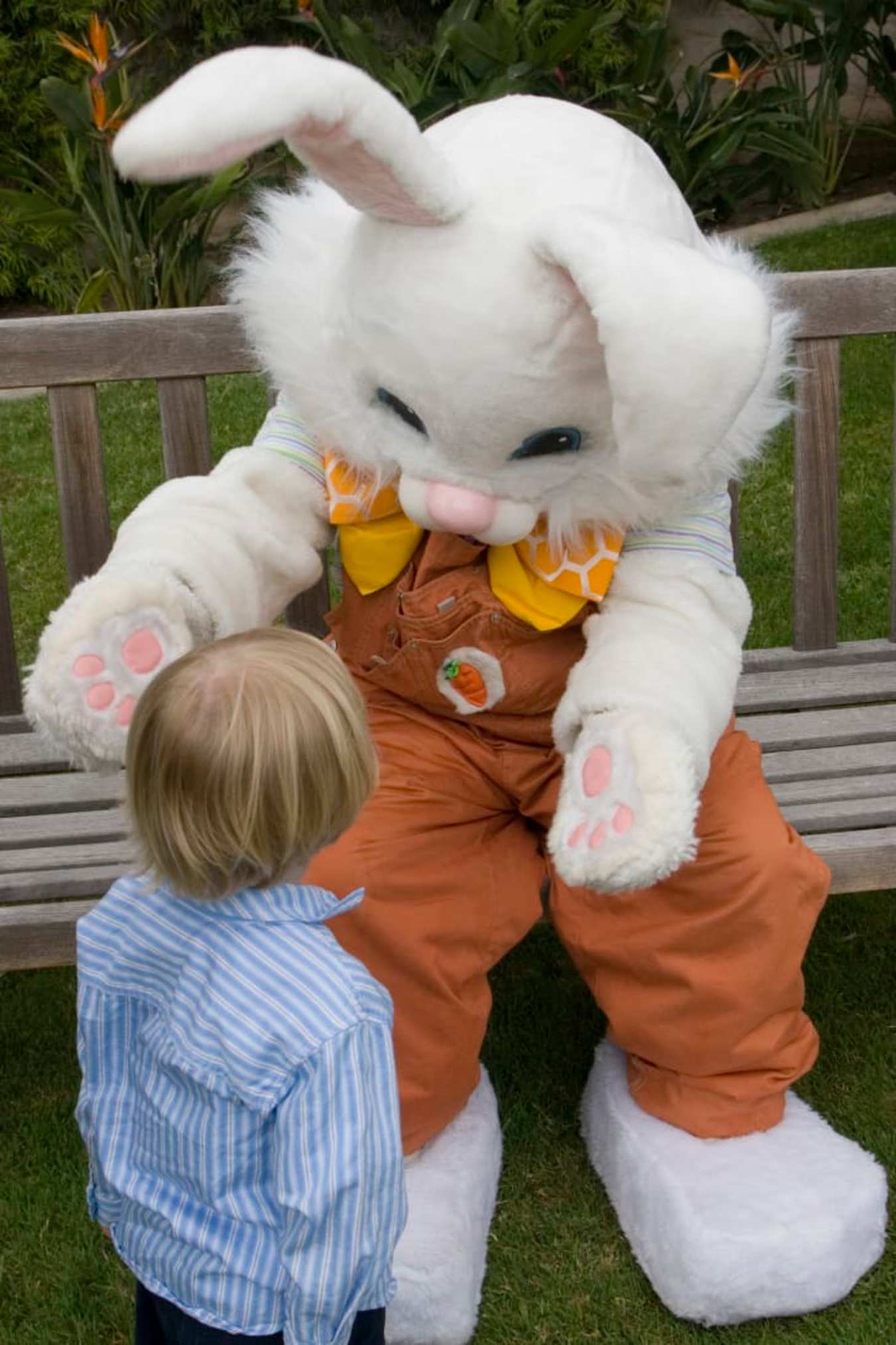 10 Things You May Not Know About the Easter Bunny | Mental Floss