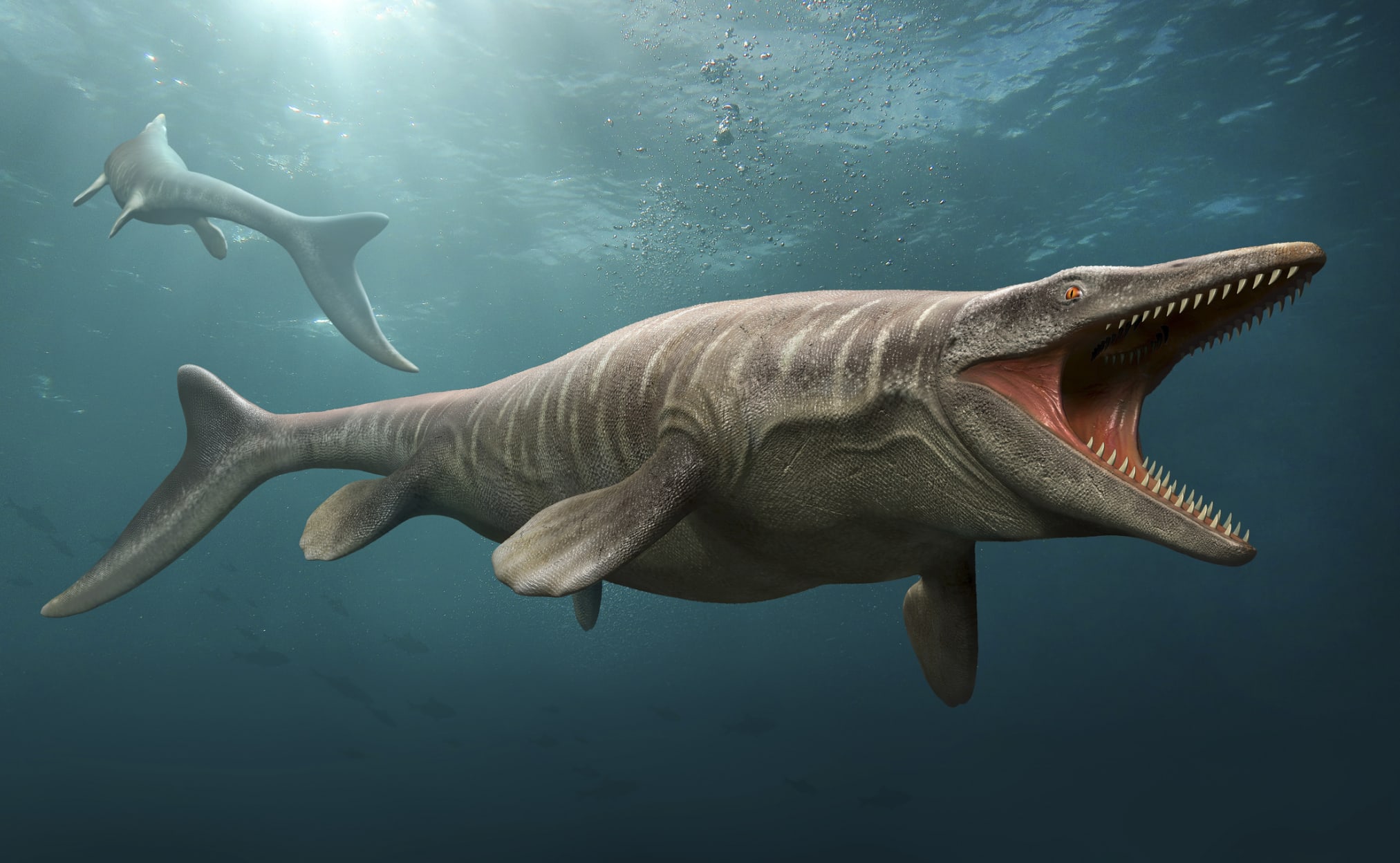 7 Prehistoric Creatures That Aren’t Dinosaurs