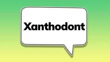 Xanthodont.