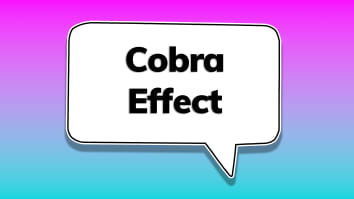 Cobra effect.