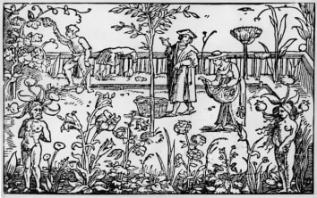 An herb garden, circa 1533.