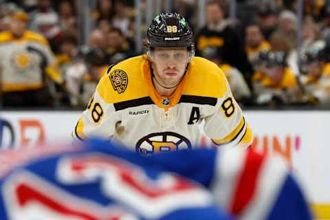 Bruins superstar David Pastrnak 