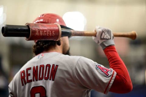 Los Angeles Angels v Tampa Bay Rays