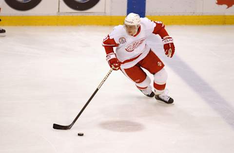 Hurricanes v Red Wings