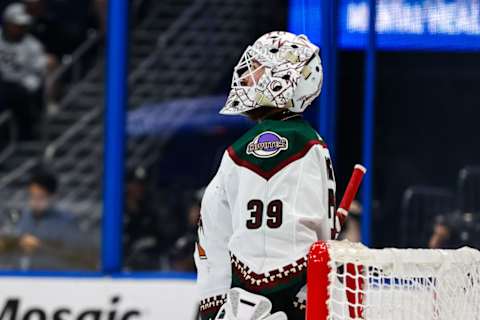 Arizona Coyotes v Tampa Bay Lightning