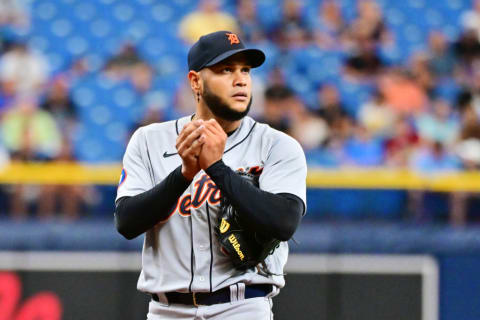 Detroit Tigers v Tampa Bay Rays