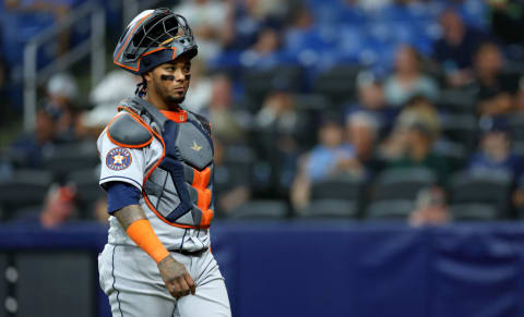 Houston Astros v Tampa Bay Rays