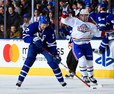 Daniel Audette with the St. Johns Ice Caps