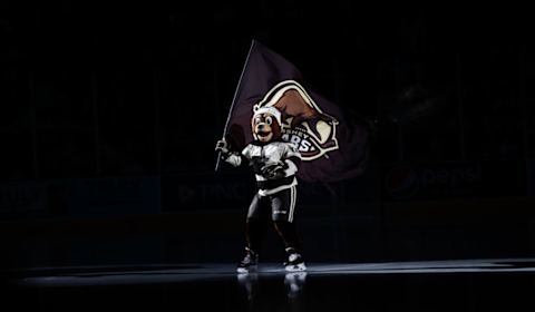 Coco, Hershey Bears