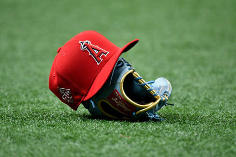 Los Angeles Angels v Tampa Bay Rays