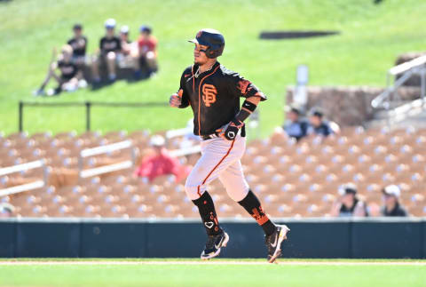 San Francisco Giants v Chicago White Sox