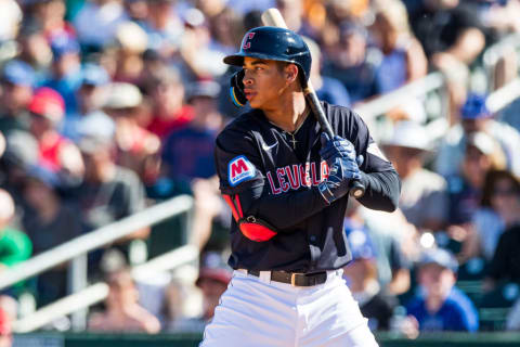 Juan Brito stands in the batters box in spring training.