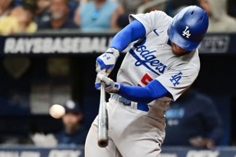 Los Angeles Dodgers v Tampa Bay Rays