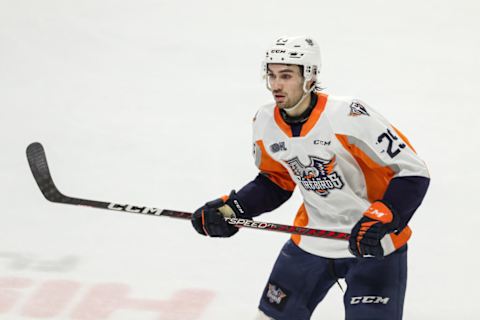 Flint Firebirds v Windsor Spitfires