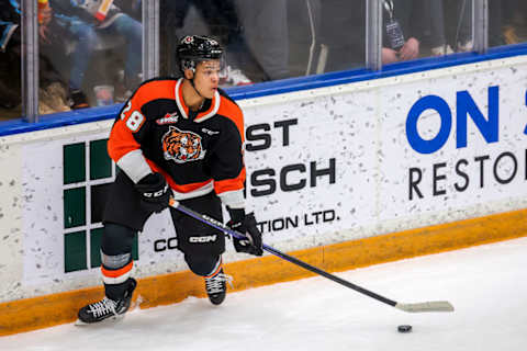 Medicine Hat Tigers v Winnipeg Ice