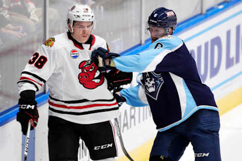 Milwaukee Admirals v Rockford Icehogs